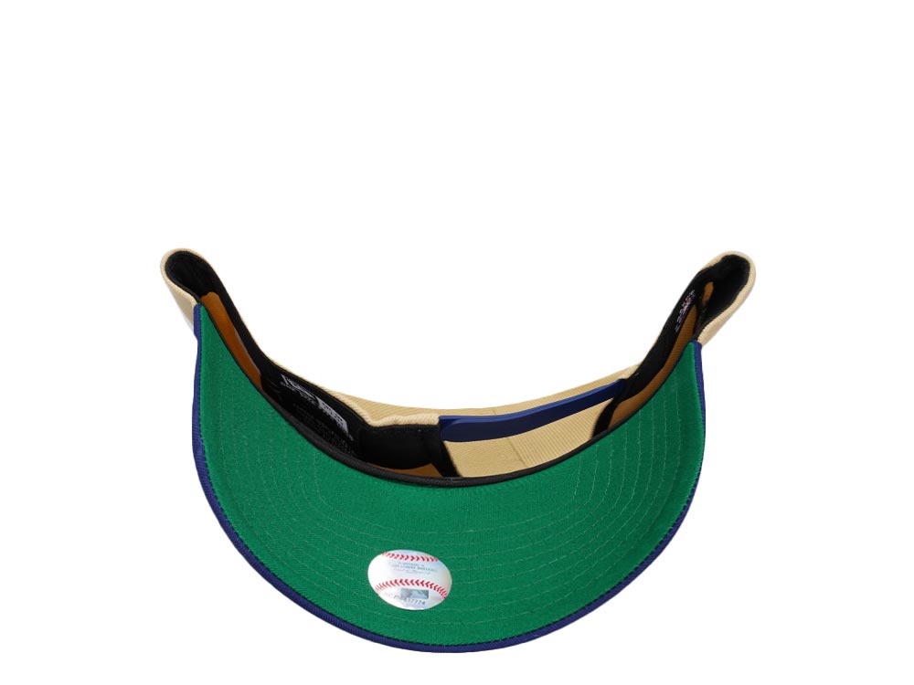New Era Brooklyn Dodgers Jackie Robinson 75 Years Throwback Edition 9Forty A Frame Snapback Cap