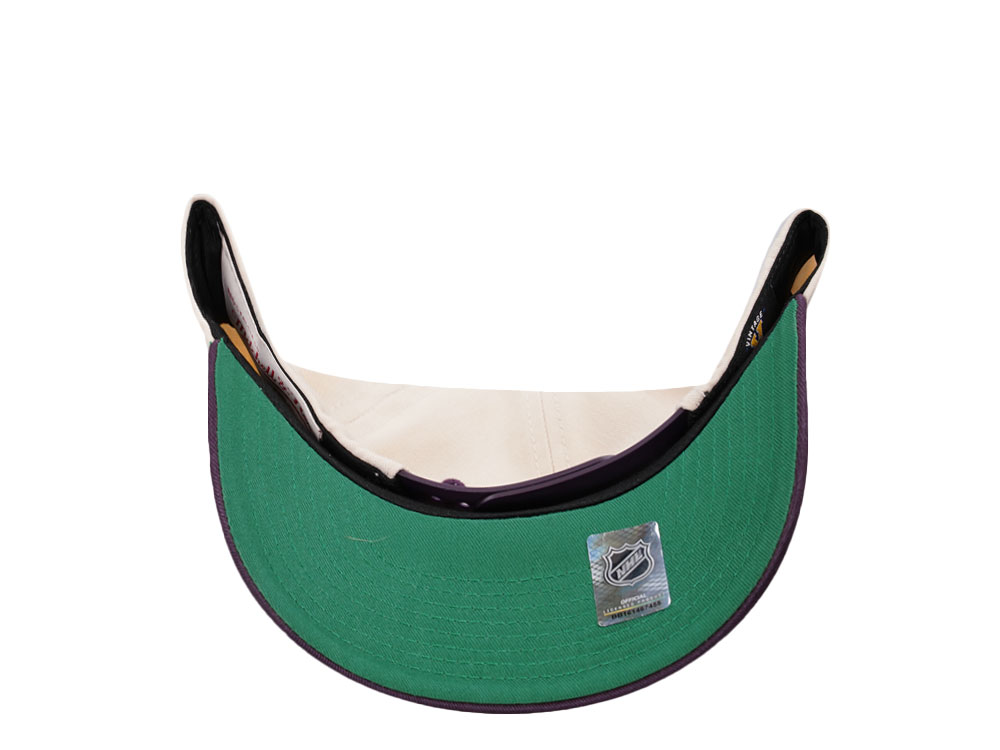 Mitchell & Ness Anaheim Ducks Horizon Two Tone Pro Crown Fit Snapback Cap