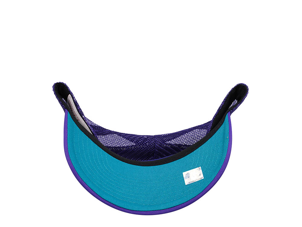 Mitchell & Ness Charlotte Hornets Purple Billboard Trucker Snapback Cap
