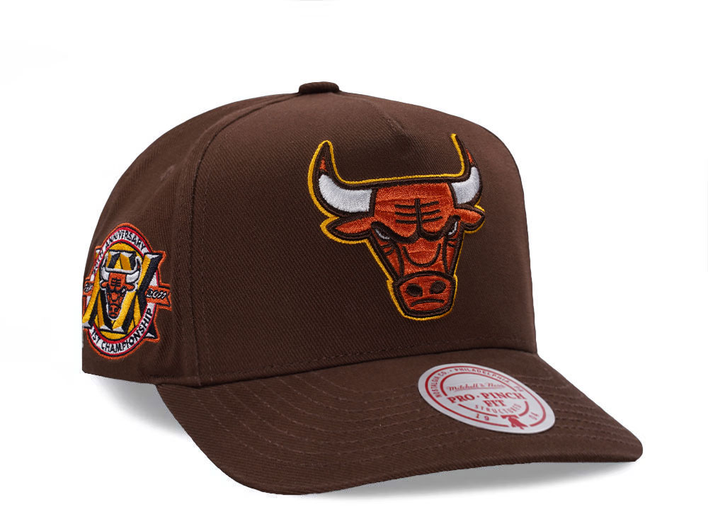 Mitchell & Ness Chicago Bulls 20th Anniversary Brown Edition Pro Pinch Fit Snapback Cap