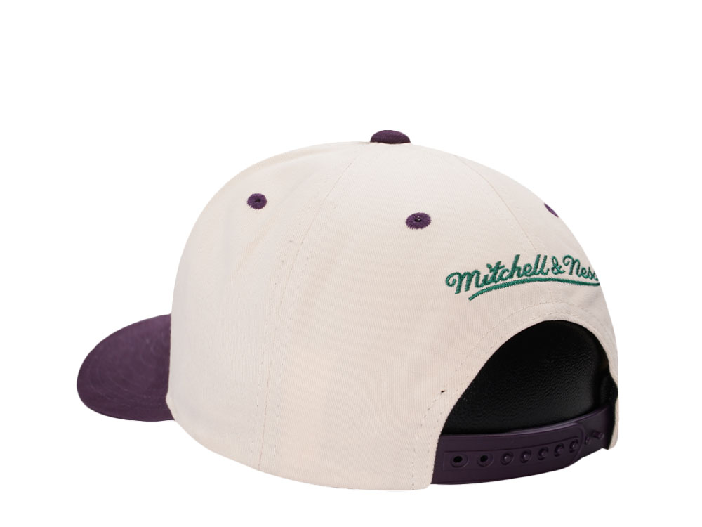 Mitchell & Ness Anaheim Ducks Horizon Two Tone Pro Crown Fit Snapback Cap