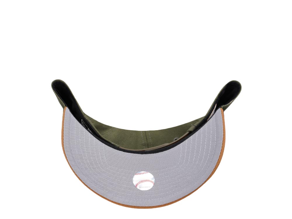 New Era Houston Astros Astrodome Two Tone A Frame 9 Forty Snapback Cap