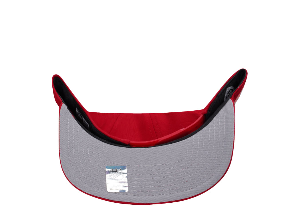 Detroit Red Wings Farewell Joe Louis Arena Vintage Edition Golfer Snapback Cap