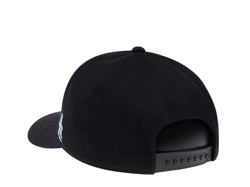 American Needle Yosemite National Park Black Snapback Cap